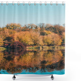 Personality  Golden Trees In Autumnal Forest And Calm Lake Shower Curtains