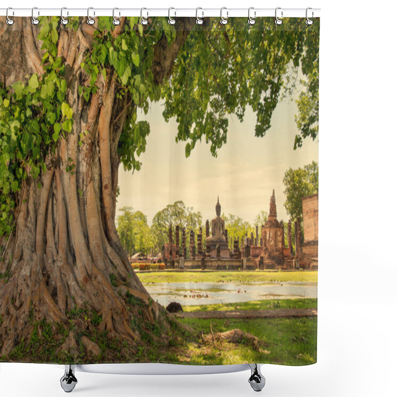 Personality  Braided Roots Of Large Banyan Tree In Sukhothai Historical Park, Thailand Shower Curtains