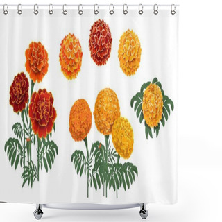 Personality  Marigold Flowers Blossoms, Leaves And Buds. Red And Orange Tagetes Or Cempasuchil Blooming Flowers, Mexican Dia De Los Muertos, Day Of Dead Holiday And Indian Diwali Festival Vector Floral Decorations Shower Curtains