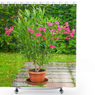 Personality  Red Oleander Shower Curtains
