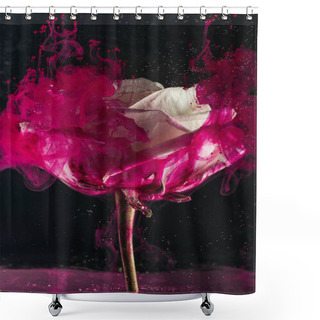 Personality  Beautiful White Rose Flower And Bright Pink Ink On Black   Shower Curtains