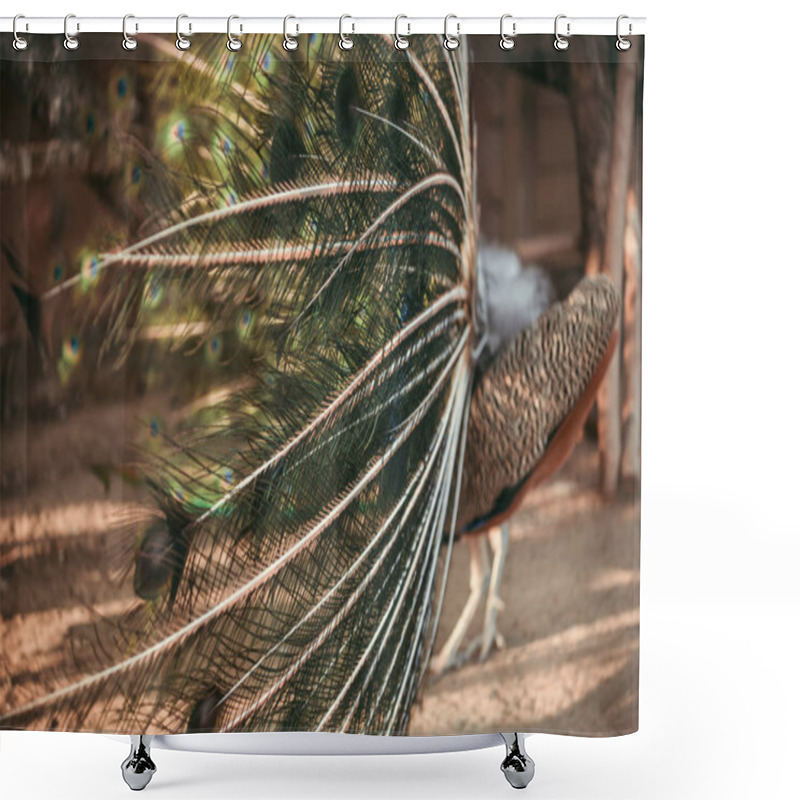 Personality  close up image of peacock beautiful colorful feathers  shower curtains