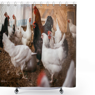 Personality  Chicken Broilers. Poultry Farm Shower Curtains