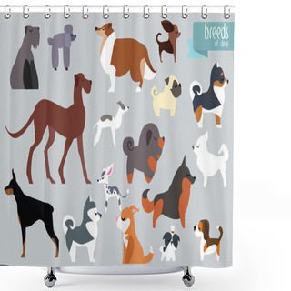 Personality  Different Breeds Of Dog. Shower Curtains