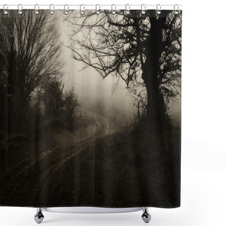Personality  Road Through Dark Trees Shower Curtains