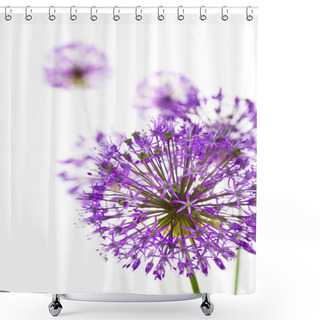 Personality  Beautiful Allium / Abstract On White Shower Curtains