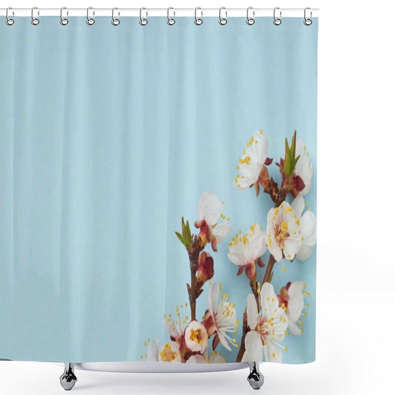 Personality  Close Up Of Tree Branch With Blossoming Spring White Flowers On Blue Background Shower Curtains