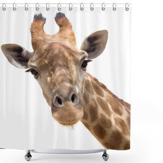 Personality  Giraffe Closeup Shower Curtains