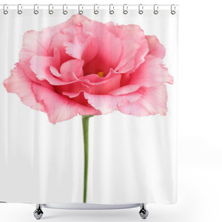 Personality  Beauty Eustoma Shower Curtains