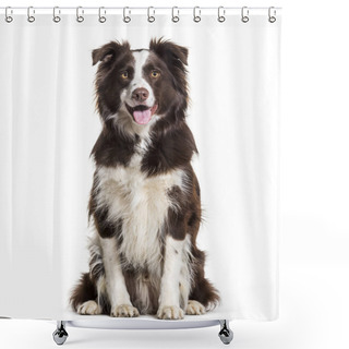 Personality  Border Collie Dog, 2 Years Old, Sitting Against White Background Shower Curtains