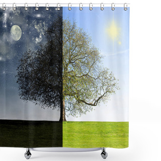 Personality  Day Vs. Night Tree Concept Shower Curtains