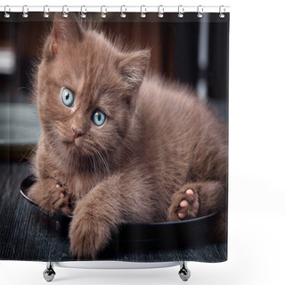 Personality  Brown Kitten On Black Plate Shower Curtains