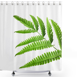 Personality  Leaves Of A Green Tropical Plant Called Pteridophyta On A White Background 2 Shower Curtains