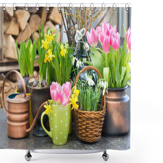 Personality  Tulips, Snowdrops And Narcissus Blooms Shower Curtains