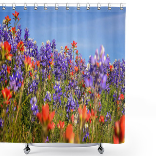 Personality  Wildflowers In Texas Hill Country - Bluebonnet And Indian Paintb Shower Curtains