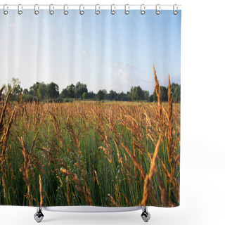 Personality  View Of Wheat Field In Evening Sunlight Shower Curtains