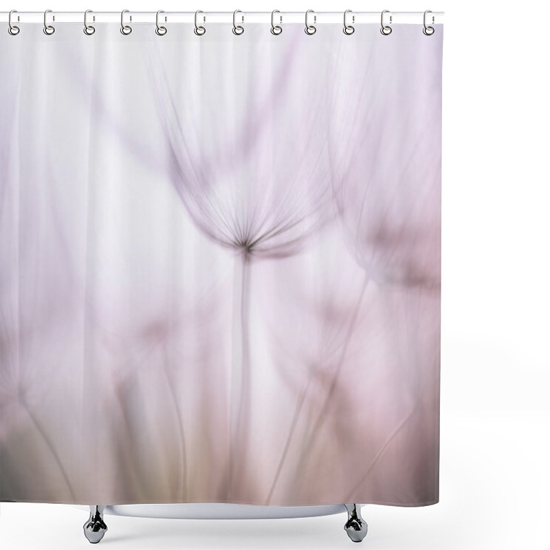 Personality  Pastel Background - Vintage Purple Abstract Dandelion Flower Shower Curtains