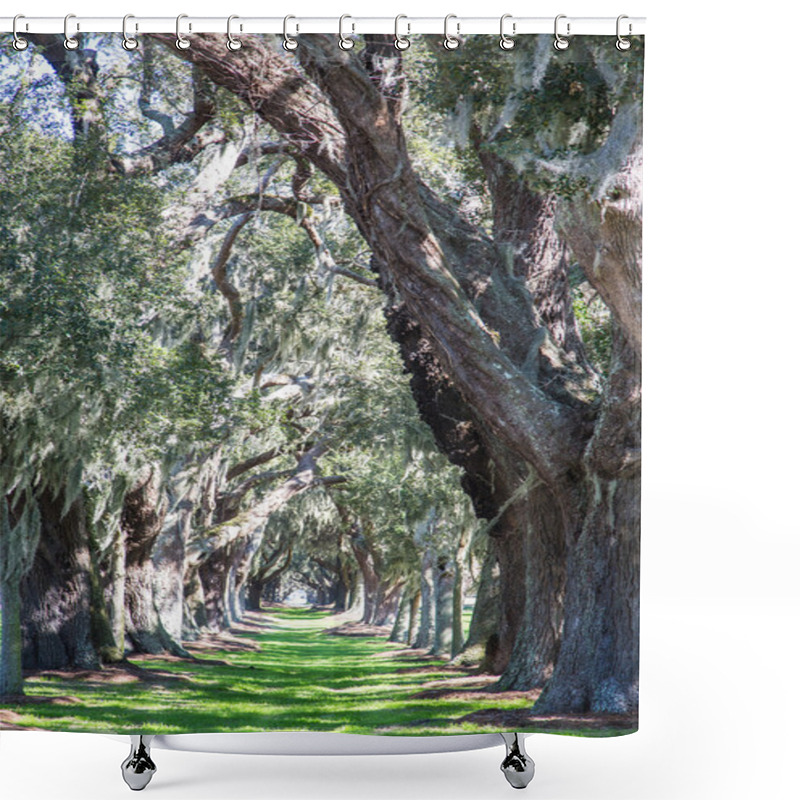 Personality  Massive Oaks And Grassy Lane Shower Curtains