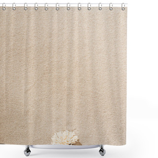 Personality  Top View Of Dry Coral Lying On Sandy Beach Shower Curtains