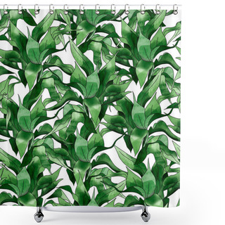 Personality  Aglaonema Tropical Illustration Seamless Pattern. For Decoration Of Gift Wrapping, Design Works, Postcards, Design Of Fabrics And Textiles, Souvenirs, Packaging Design, Invitation. Shower Curtains