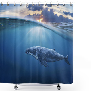 Personality  Whale In Half Air Shower Curtains