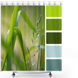 Personality  Green Grass Colour Palette Swatch Shower Curtains