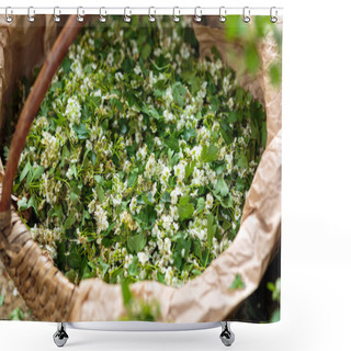 Personality  Hawthorn Flowers For Infusion Shower Curtains