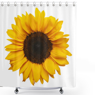 Personality  Sun Flower Shower Curtains
