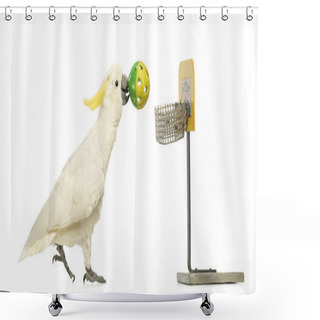 Personality  Sulphur-crested Cockatoo, Cacatua Galerita, 30 Years Old, Playing Basketball, Holding A Ball In Its Beak In Front Of White Background Shower Curtains