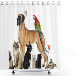 Personality  Group Of Pets - Dog, Cat, Bird, Reptile, Rabbit, Isolated On Whi Shower Curtains