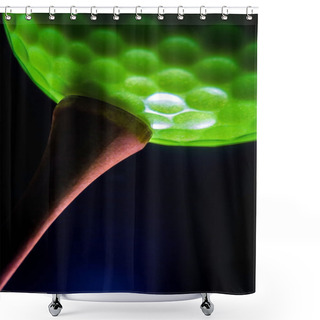 Personality  Green Golf Ball On The Wood Tee Shower Curtains