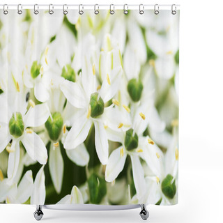 Personality  Allium Petals Flower. Garden Flowers Shower Curtains