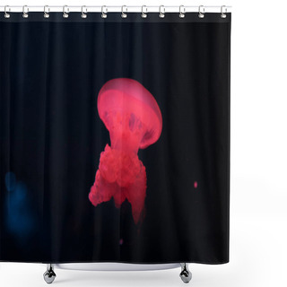 Personality  Blue Blubber Jellyfish In Red Neon Light On Black Background Shower Curtains