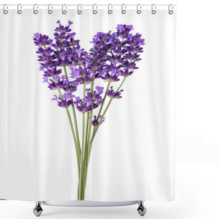 Personality  Lavender Flowers  Shower Curtains