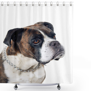 Personality  Boxer Dog Portrait Shower Curtains