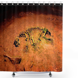 Personality  Ancient Bear Skeleton Shower Curtains