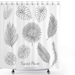 Personality  Tropical Plant Leaves Hand Drawn Sketches Set Shower Curtains