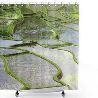 Personality  Rice Paddies Shower Curtains