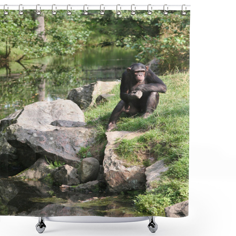Personality  Monkey Thoughts Shower Curtains
