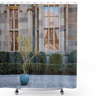 Personality  Tropical Potted Stone Plant, Medieval Castle Palace, Stone Road, Courtyard In The Palace Shower Curtains