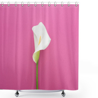 Personality  Beautiful White Calla Lily With Green Stem On Pink Background Shower Curtains