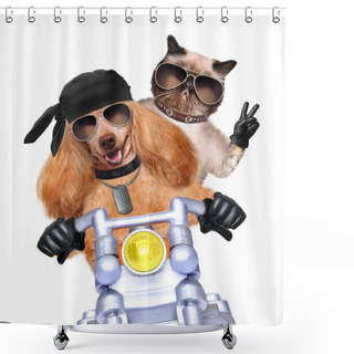 Personality  Motorbike Couple At Speed Shower Curtains