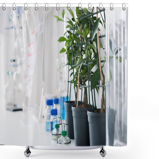 Personality  Scientific Tools At Laboratory Shower Curtains