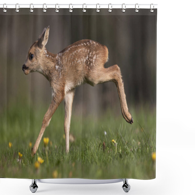 Personality  Roe Deer, Capreolus Capreolus, Fawn With Flowers, Normandy   Shower Curtains