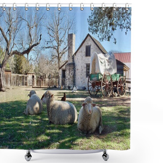Personality  Stonewall, Texas, USA: Sheep And A Covered Wagon At Lyndon B. Johnson State Park And Historic Site And The Sauer-Beckmann Farmstead, Living History Farm That Presents Rural Pioneer Texas Life. Shower Curtains