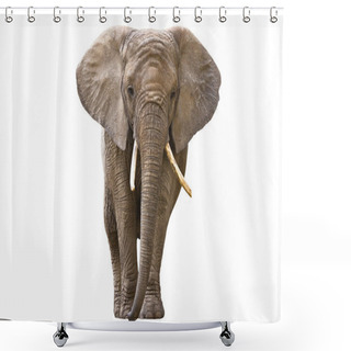 Personality  Elephant Isolated On White Shower Curtains