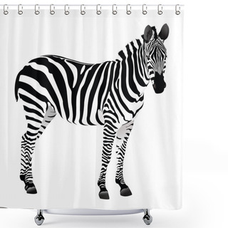 Personality  Balack And White Zebra Shower Curtains