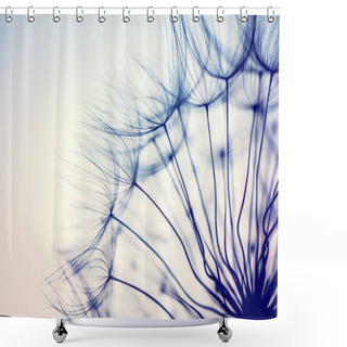 Personality  Beautiful Dandelion Flower Shower Curtains