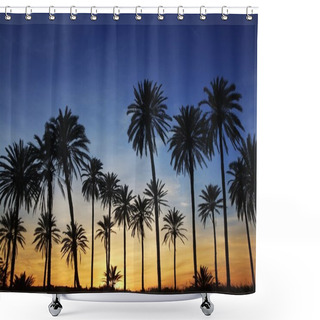 Personality  Palm Trees Sunset Golden Blue Sky Backlight Shower Curtains