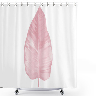 Personality  Light Pink Watercolor Leaf. Pink Watercolour Illustration Isolated On White Background. Botanical Art. Shower Curtains